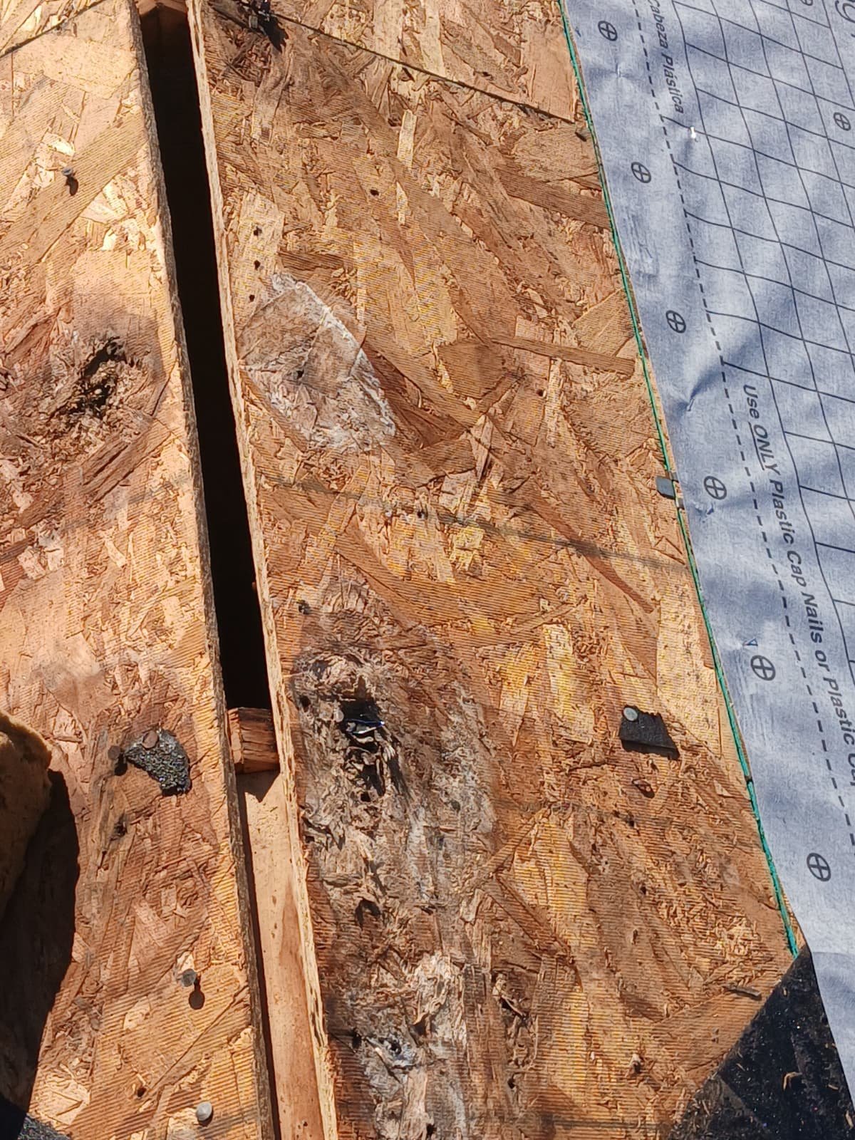 Legacy RE Capital Group